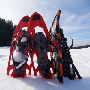 Location de raquette à neige